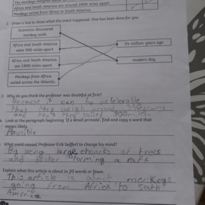 Alessio year 5 Comprehension